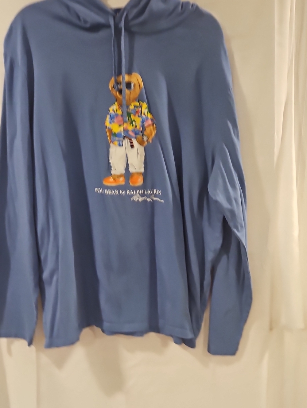 Polo by Ralph Lauren Blue Hoodie with Polo Bear Print